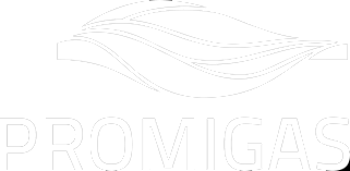 Promigas
